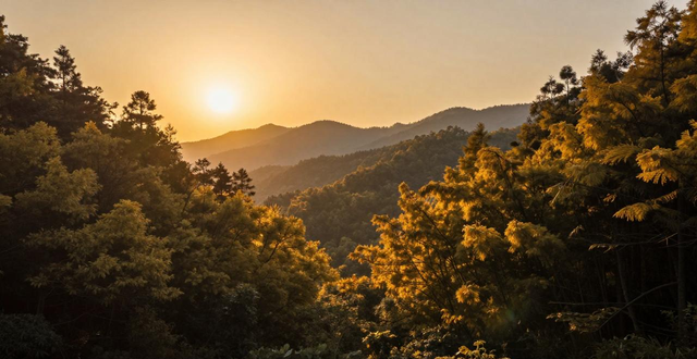 Zhejiang Tianmu Mountain Big Tree Kingdom_Zhejiang Tianmu Mountain Cryptomeria Ancient Tree Group_Tianmu Mountain Big Tree King Scenic Area