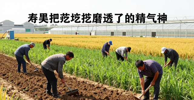 Weifang Qingzhou tourist attractions_Qingzhou Shouguang self-driving tour_Qingzhou ancient city historical attractions