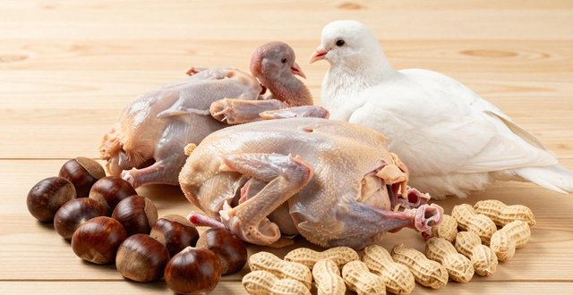 recommended food supplements for replenishing kidneys_food supplements for male impotence_food supplements for weak erection and premature ejaculation