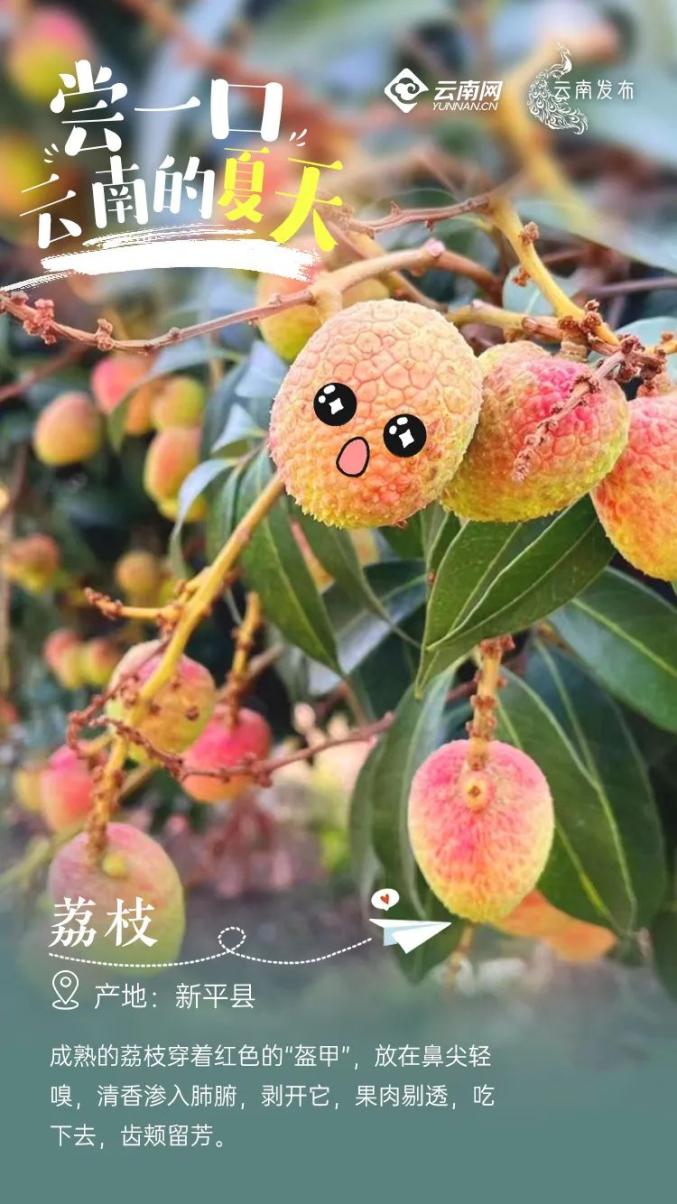What are the specialty fruits of Kunming_Yunnan specialty fruit picking_Yunnan rural tourism development