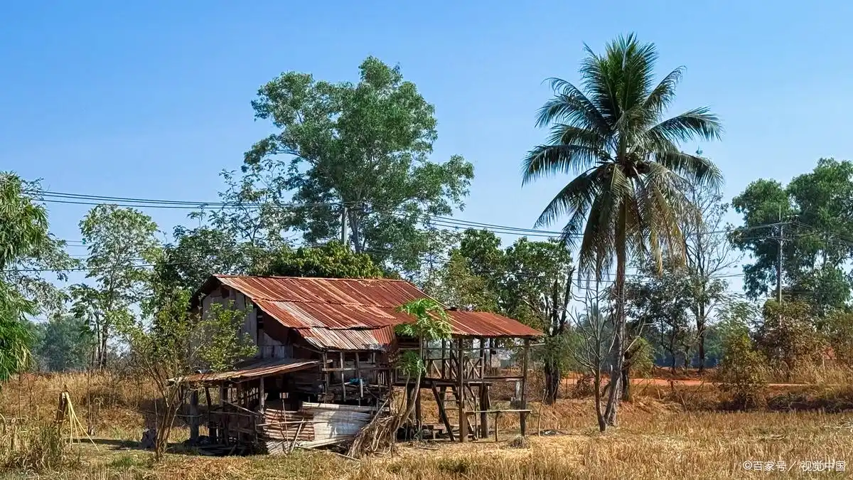 Laos specialty recommendations_Laos coffee features_Laos souvenirs