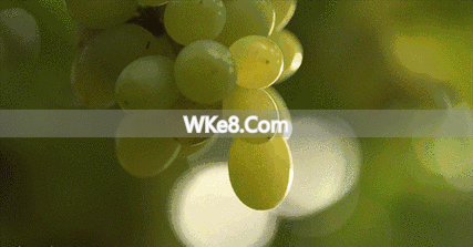 What are the specialty fruits of Kunming_Recommended fruits of Kunming_Encyclopedia of specialty fruits of Kunming