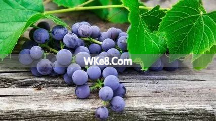 What are the specialty fruits of Kunming_A complete collection of Yunnan specialty fruits_Kunming fruit recommendations