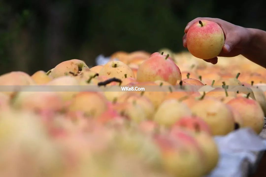 What are the specialty fruits of Kunming_A complete collection of Yunnan specialty fruits_Kunming fruit recommendations