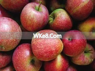 What are the specialty fruits of Kunming_A complete collection of Yunnan specialty fruits_Kunming fruit recommendations