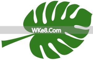 What are the specialty fruits of Kunming_Recommended fruits of Kunming_Encyclopedia of specialty fruits of Kunming